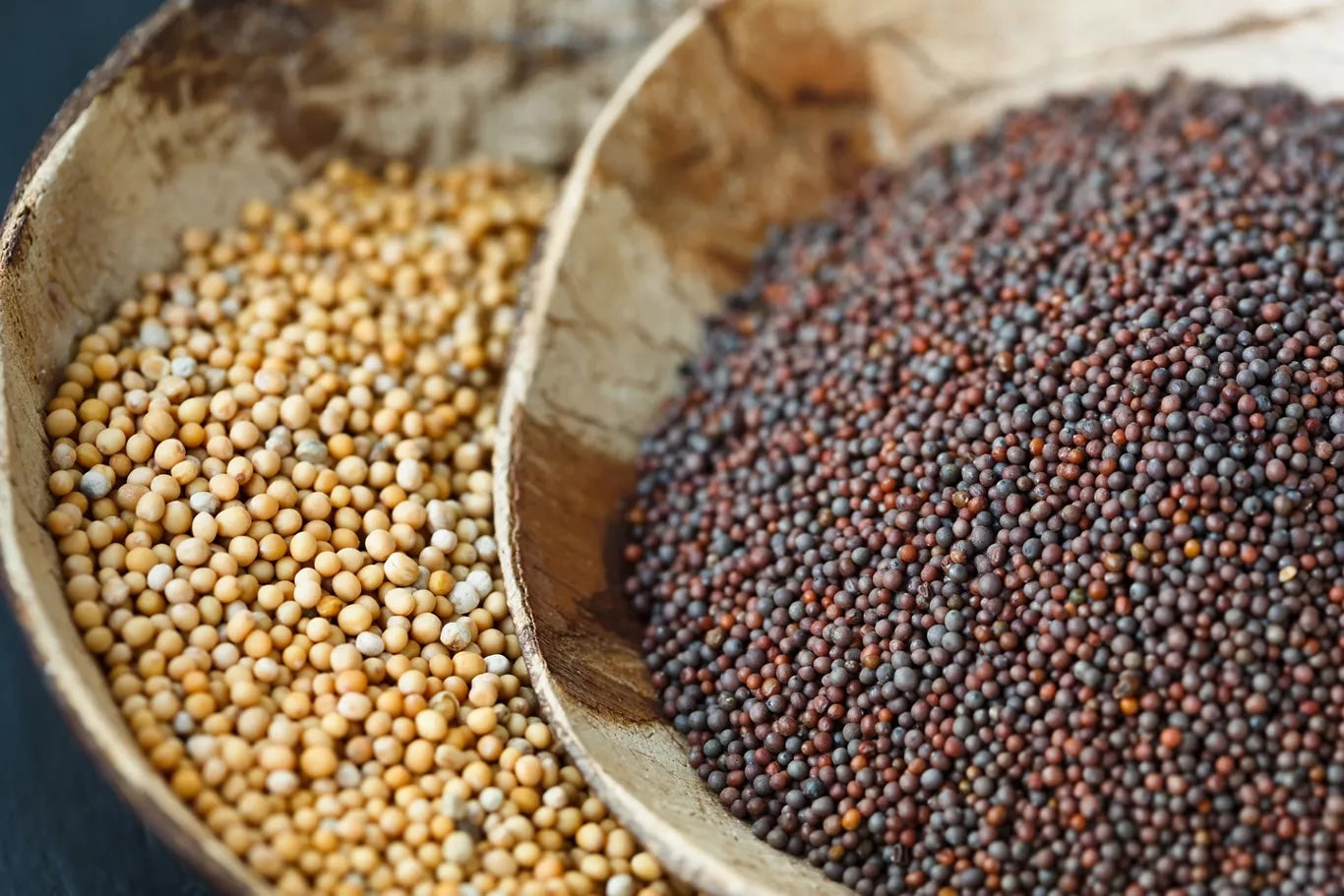 Two wooden bowls containing different types of mustard seeds