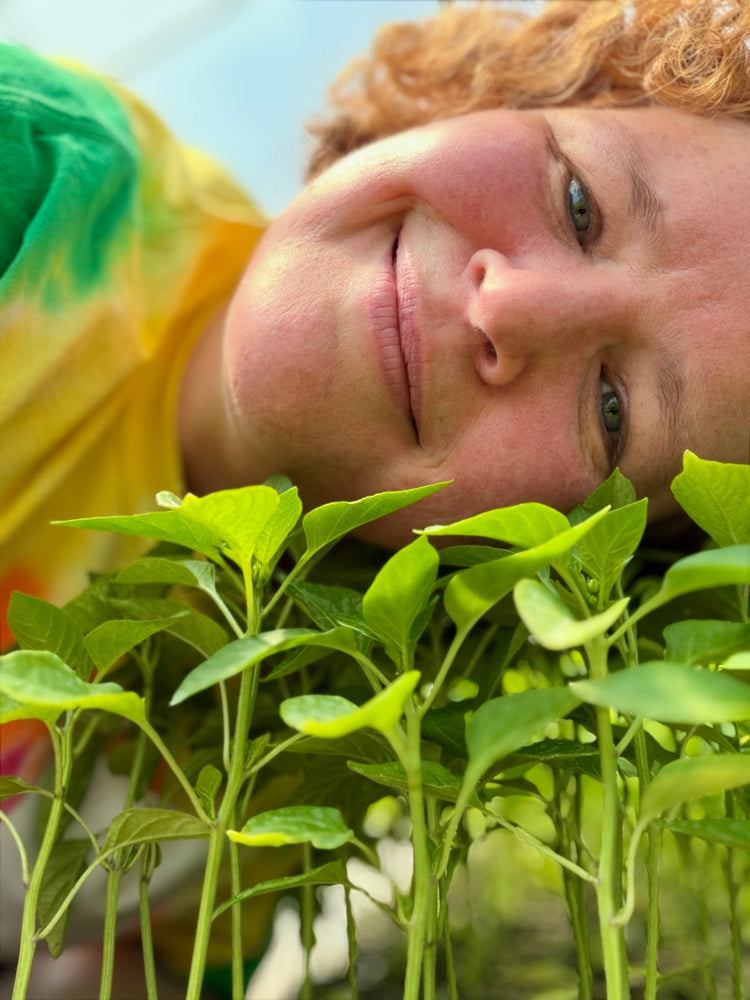 Claire Georges lying among young pepper plants, wearing a tie-dyed t-shirt.