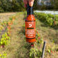 A hand holding a bottle of Smoked Serrano Squash Reaper X hot sauce in front of a row of peppers growing in a farm field