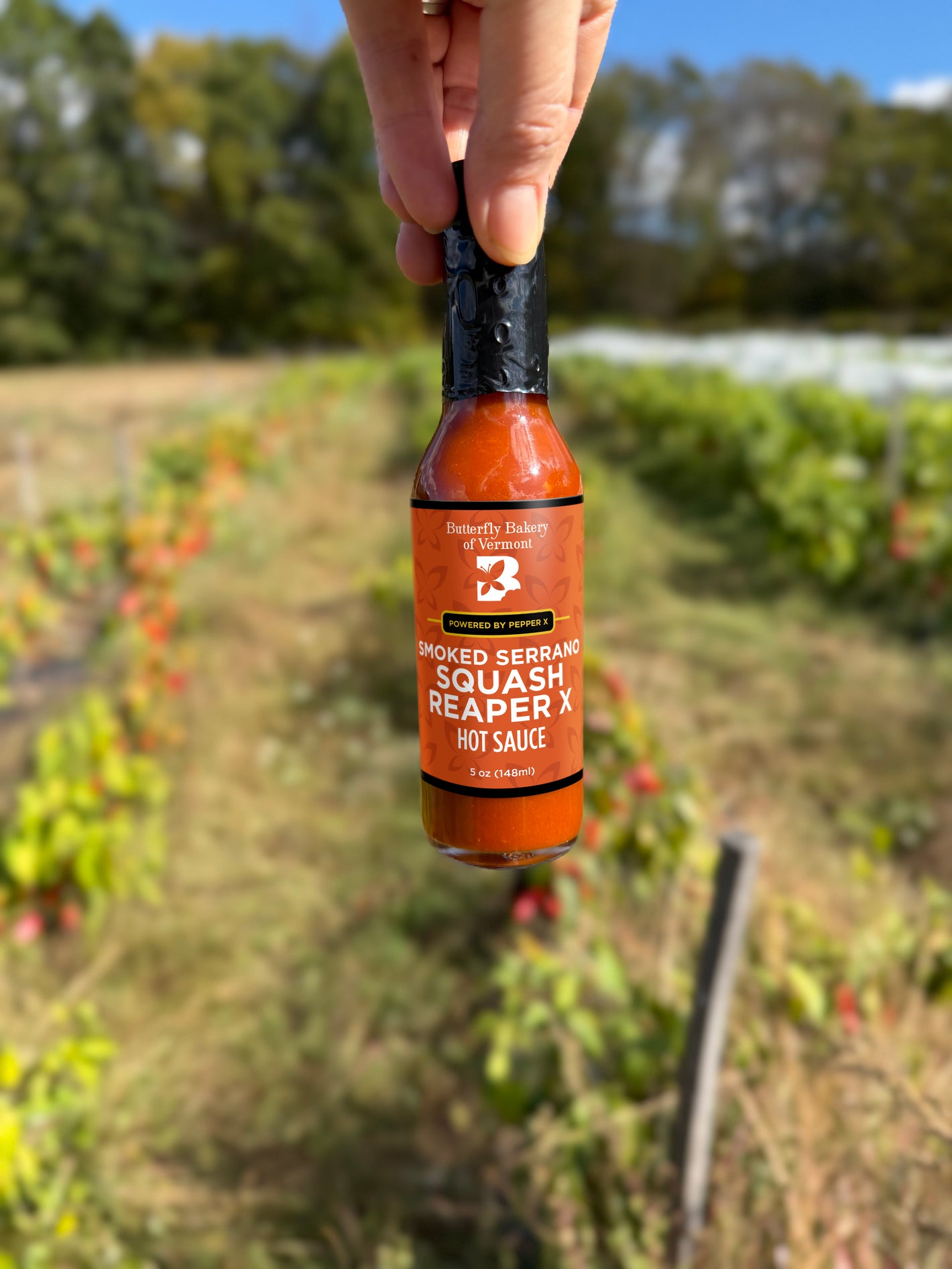 A hand holding a bottle of Smoked Serrano Squash Reaper X hot sauce in front of a row of peppers growing in a farm field