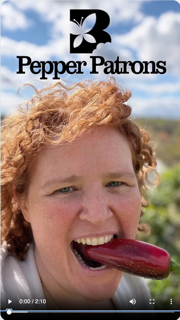 Fresh peppers from a local farm