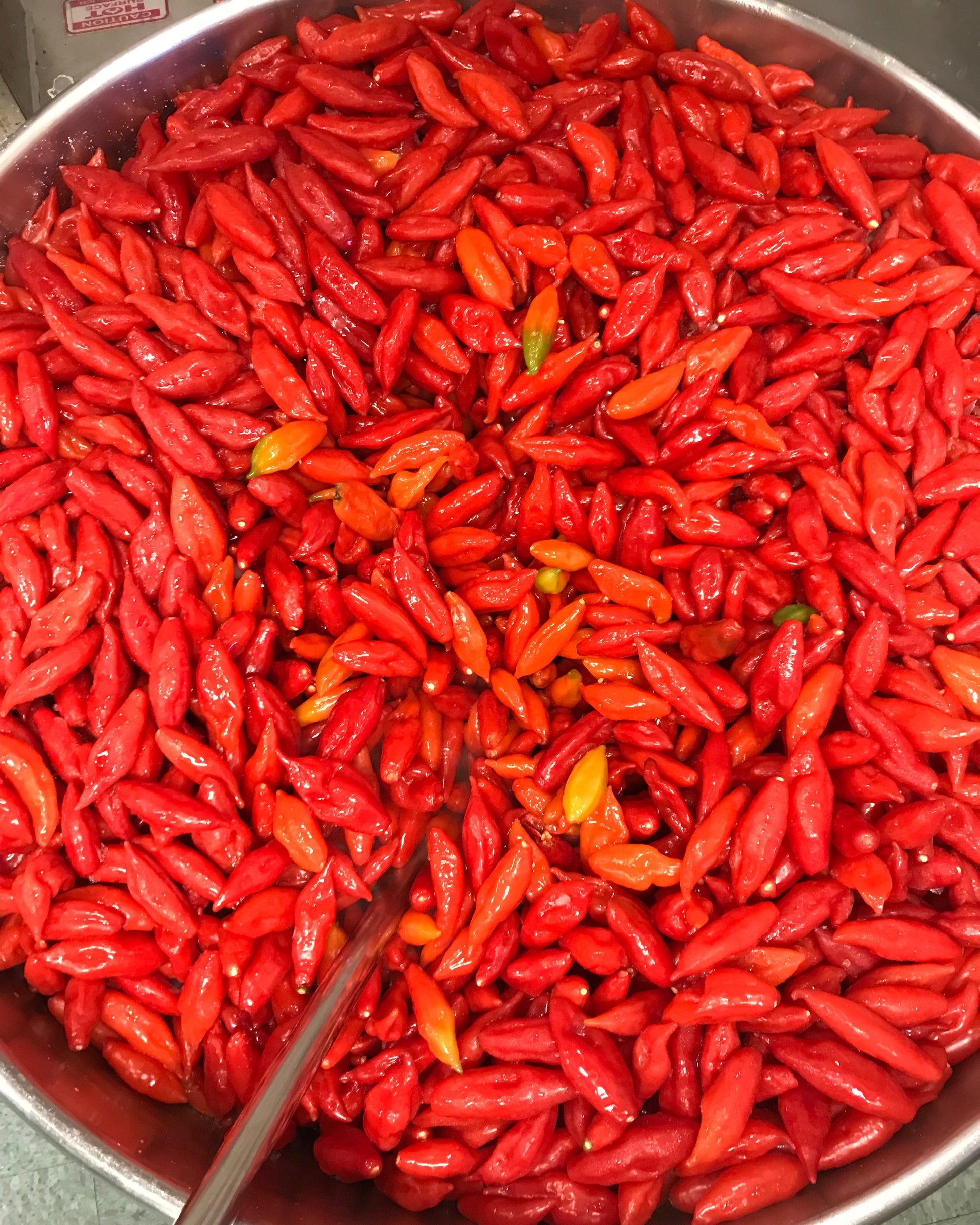 Large kettle filled with red ghost peppers and a stirring paddle.